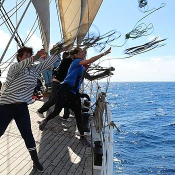 Gazelles de la mer - LaPoste Belem DalmardMarine 